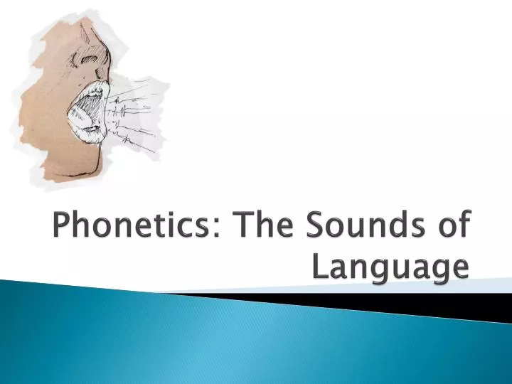 phonetics the sounds of language