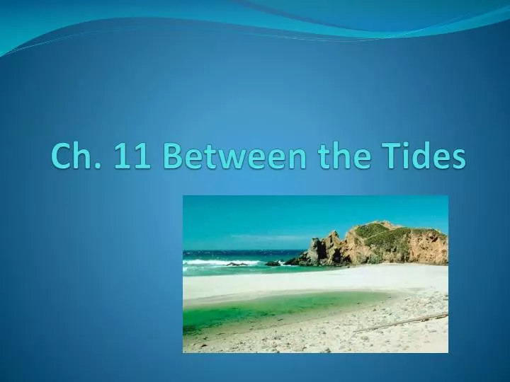 ch 11 between the tides