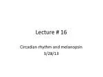 Understanding Circadian Rhythm and Melanopsin: The Role of Light in Biological Timekeeping - slide 1