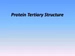 Protein Tertiary Structure - slide 1
