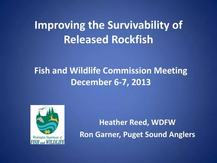 improving the survivability of released rockfish