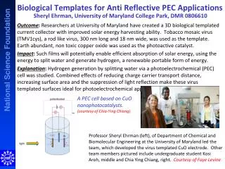 A PEC cell based on CuO nanophotocatalysts . (courtesy of Chia-Ying Chiang)