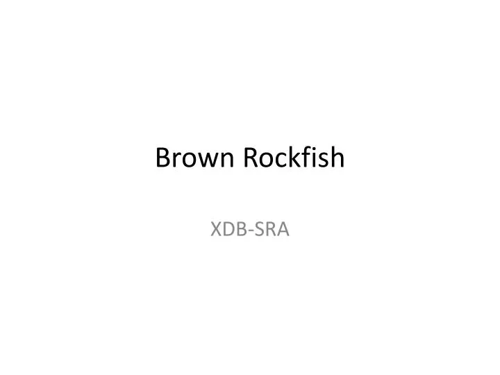 brown rockfish