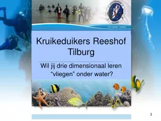 kruikeduikers reeshof tilburg