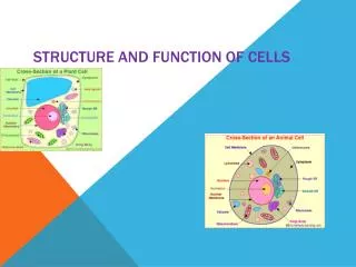 Structure and Function of Cells