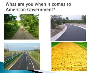What are you when it comes to American Government?