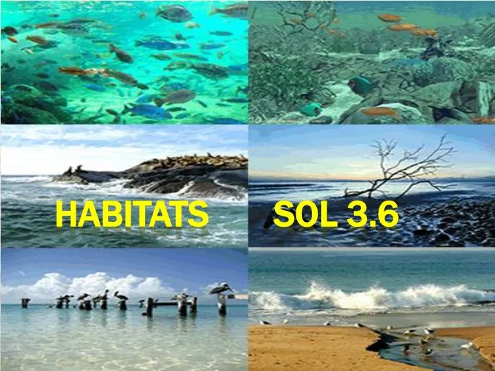 habitats sol 3 6
