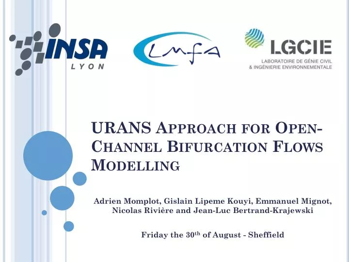 urans approach for open channel bifurcation flows modelling