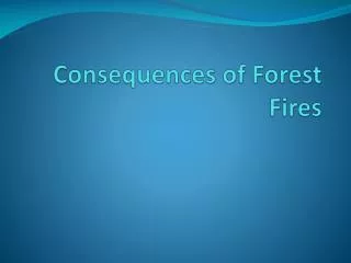Consequences of Forest Fires