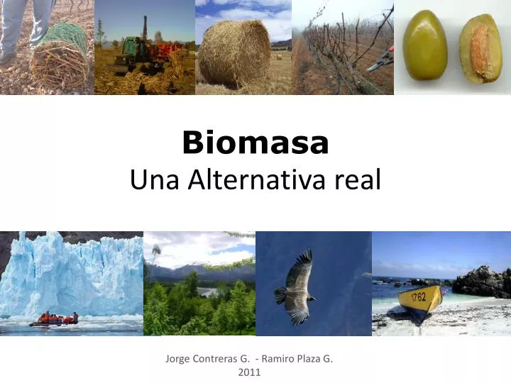 biomasa una alternativa real
