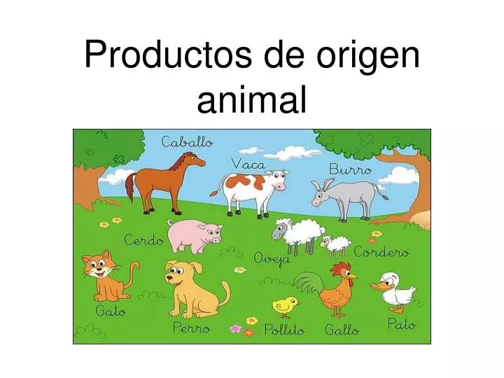 productos de origen animal