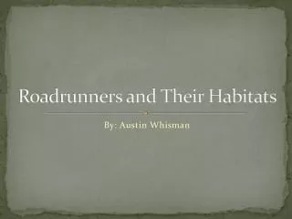 Roadrunners and Their Habitats