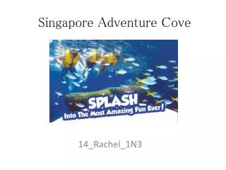Singapore Adventure Cove