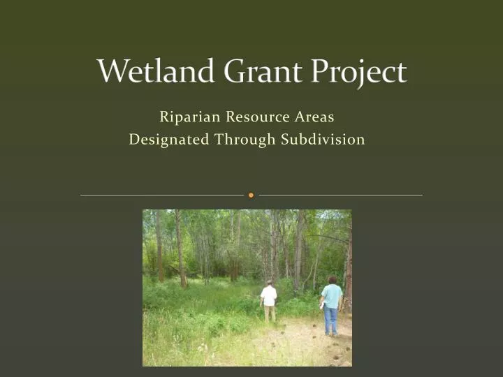 wetland grant project