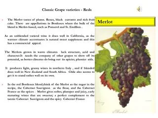 Classic Grape varieties - Reds