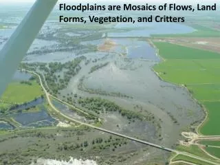 Floodplains are Mosaics of Flows, Land Forms, Vegetation, and Critters