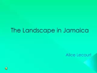 The Landscape in Jamaica