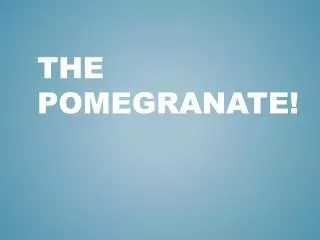The Pomegranate!