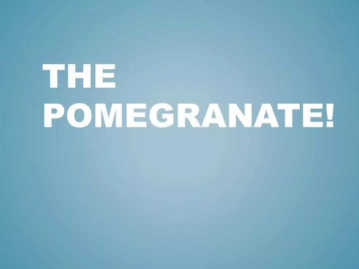 the pomegranate