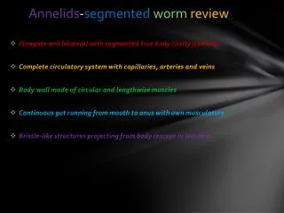 Annelids - segmented worm review