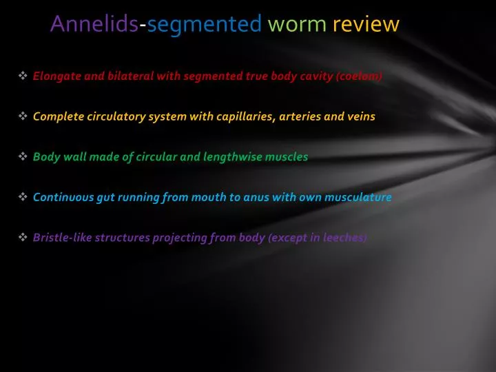 annelids segmented worm review