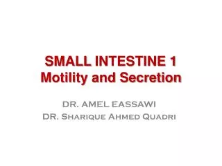 SMALL INTESTINE 1 Motility and Secretion