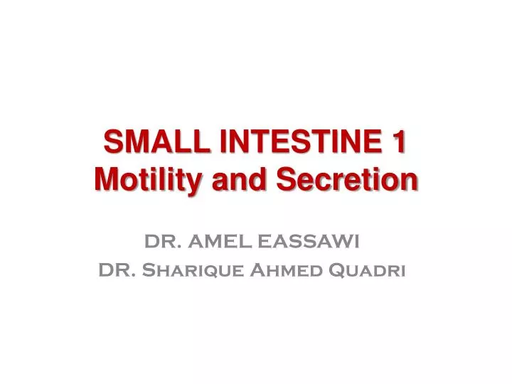 small intestine 1 motility and secretion