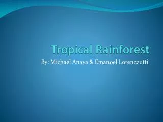 Tropical Rainforest