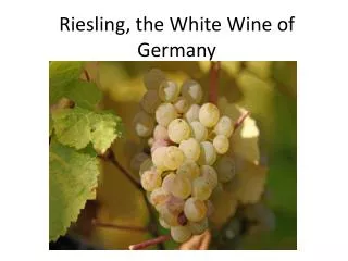Riesling, the White W ine of Germany
