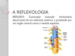 A REFLEXOLOGIA