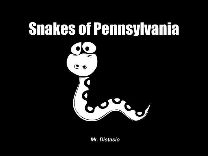 snakes of pennsylvania