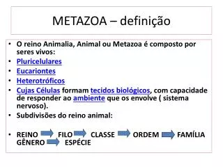 metazoa defini o