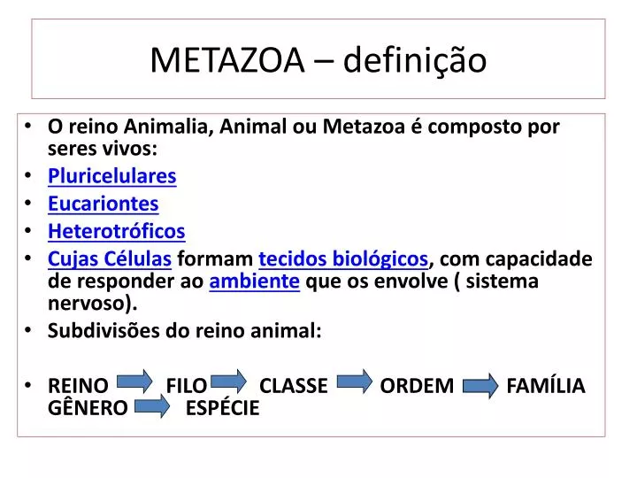 metazoa defini o