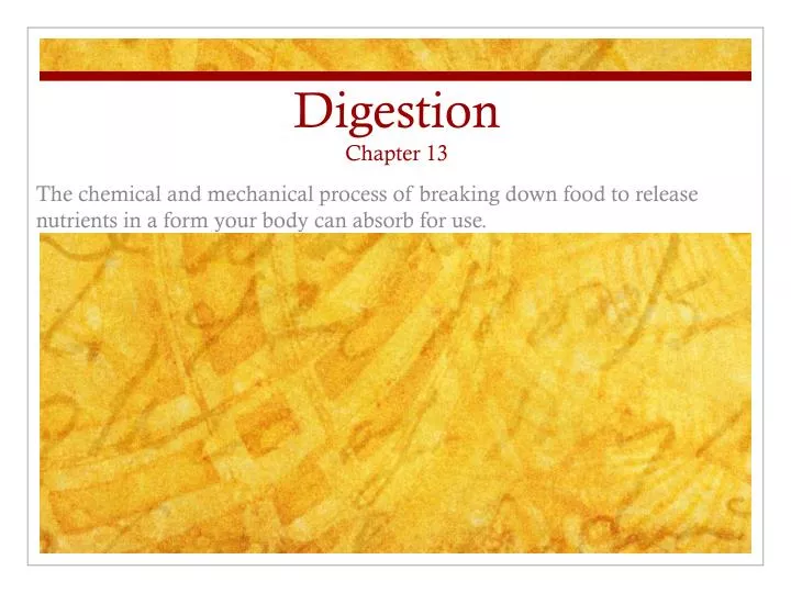 digestion chapter 13