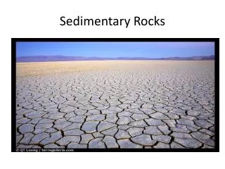 Sedimentary Rocks