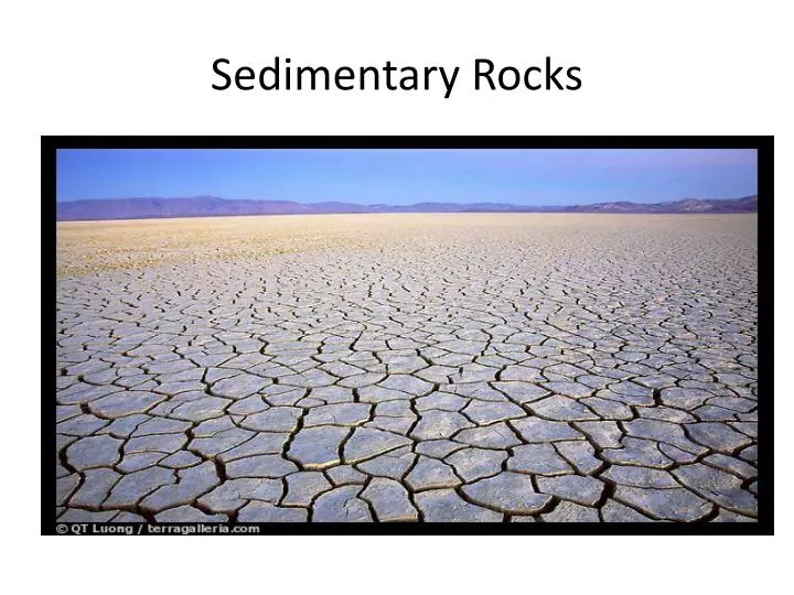 sedimentary rocks