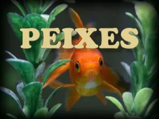 peixes