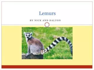 Lemurs