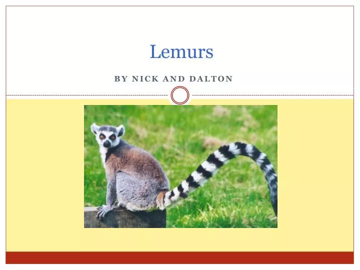 lemurs