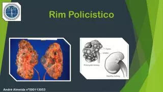 rim polic stico