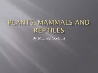 Plants, Mammals and Reptiles