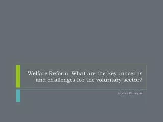 Welfare Reform: What are the key concerns and challenges for the voluntary sector?