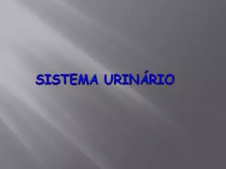 sistema urin rio