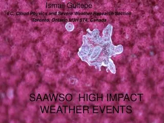 SAAWSO HIGH IMPACT WEATHER EVENTS