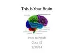 This Is Your Brain - slide 1