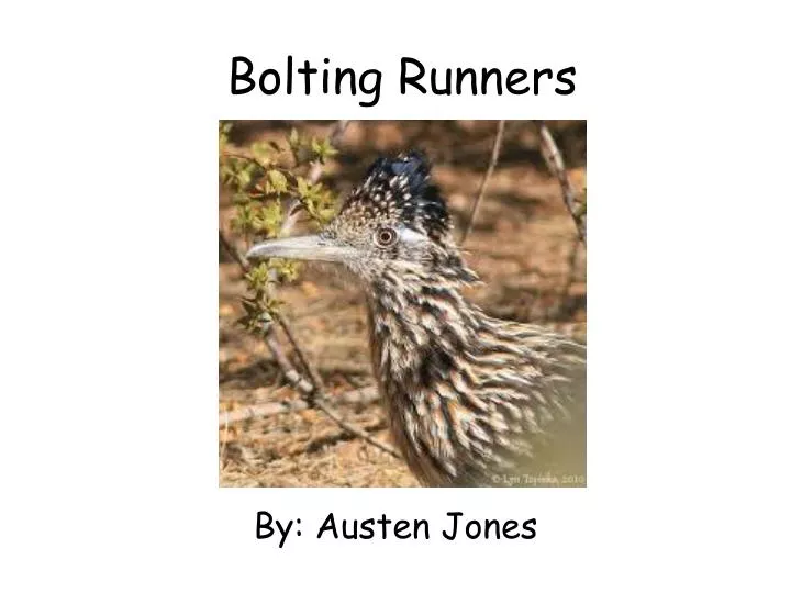 bolting runners