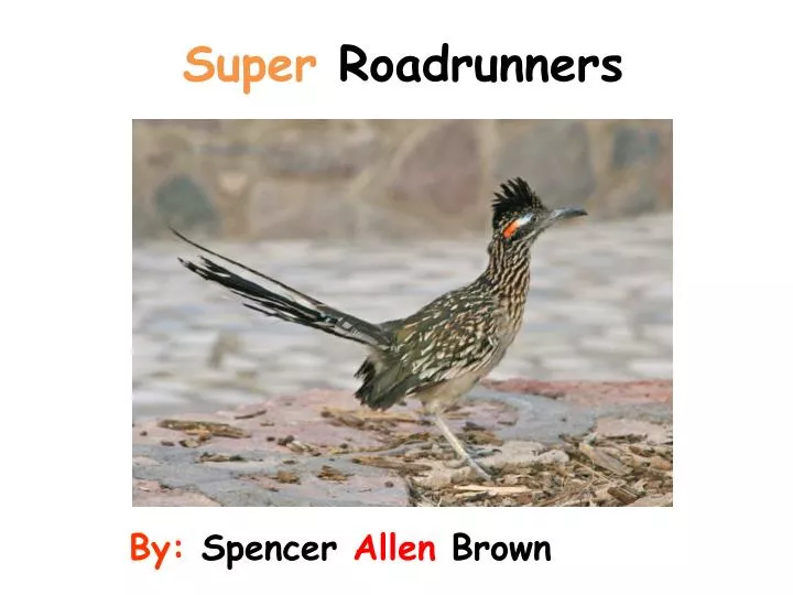 super roadrunners