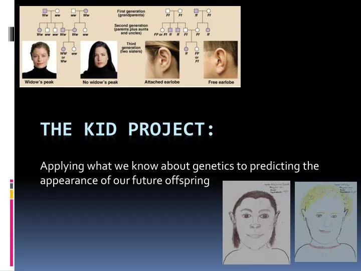 applying what we know about genetics to predicting the appearance of our future offspring