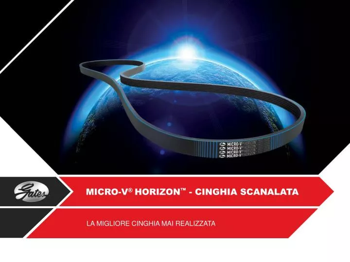 micro v horizon cinghia scanalata