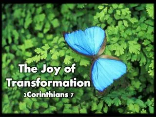 The Joy of Transformation 2Corinthians 7